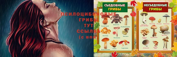 кокаин премиум Бородино