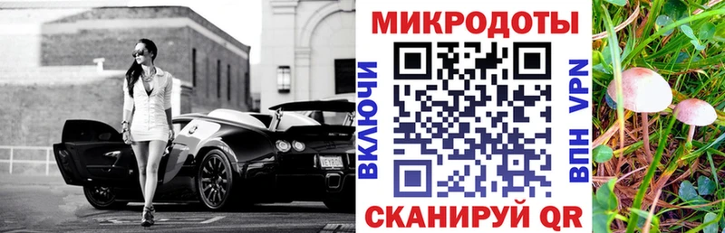 Псилоцибиновые грибы Psilocybe  гидра сайт  Урень  где купить наркоту 